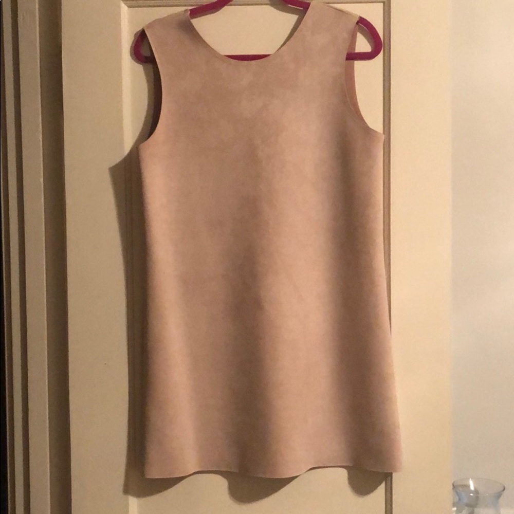 Zara Faux Suede Dress
